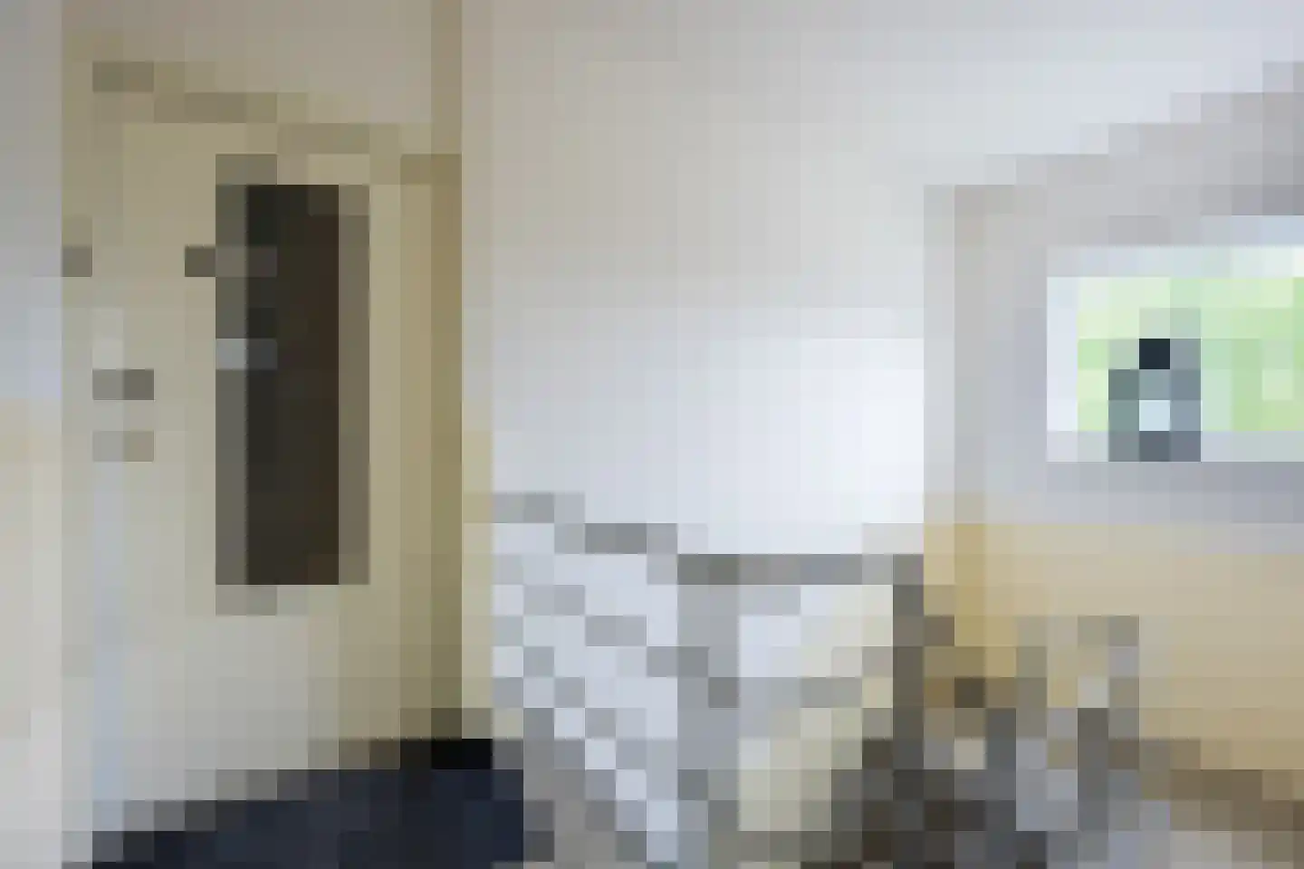 Wisentstraat 6 Nijmegen thumbnail 5