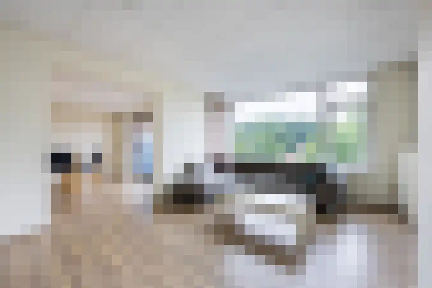 Wisentstraat 6 Nijmegen thumbnail 7
