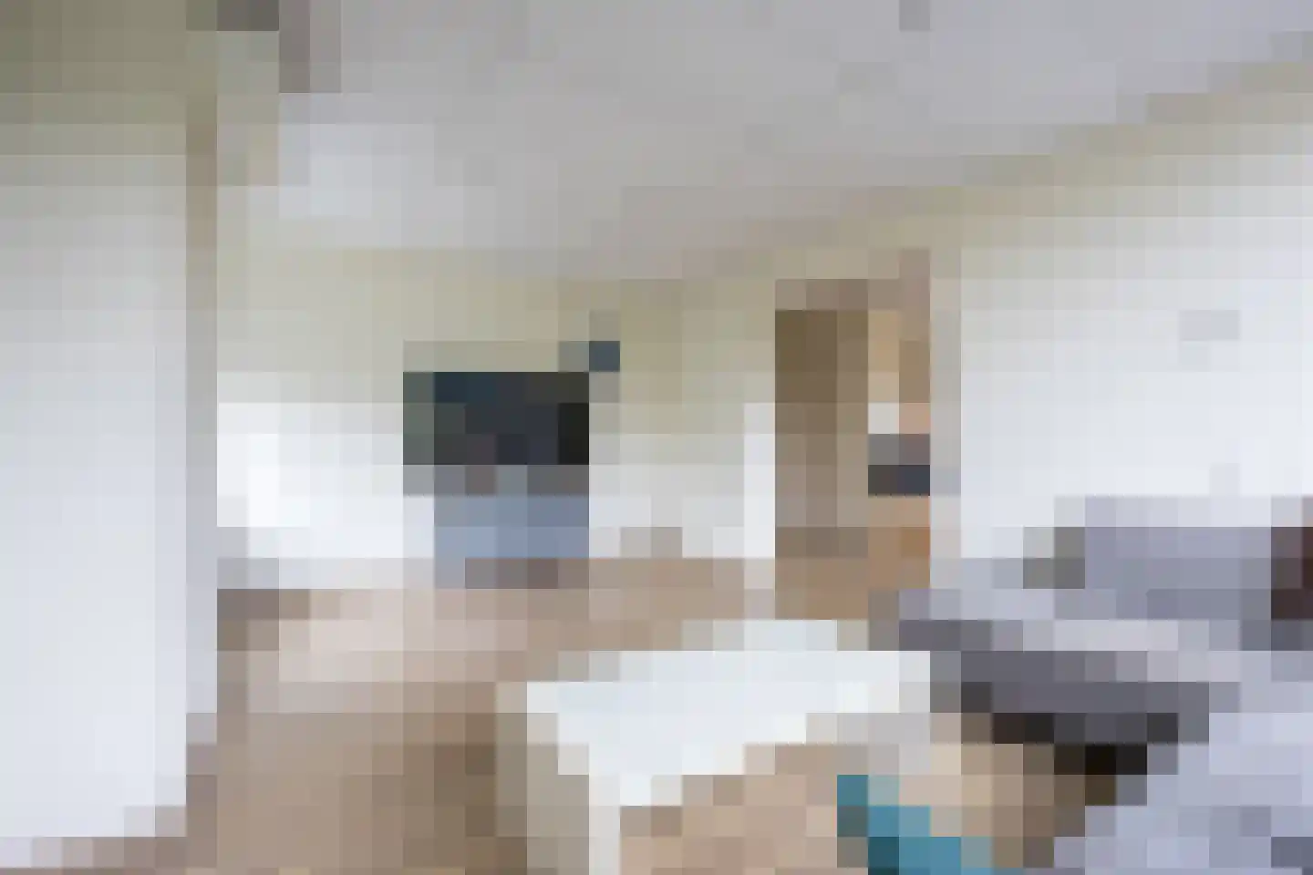 Wisentstraat 6 Nijmegen thumbnail 8