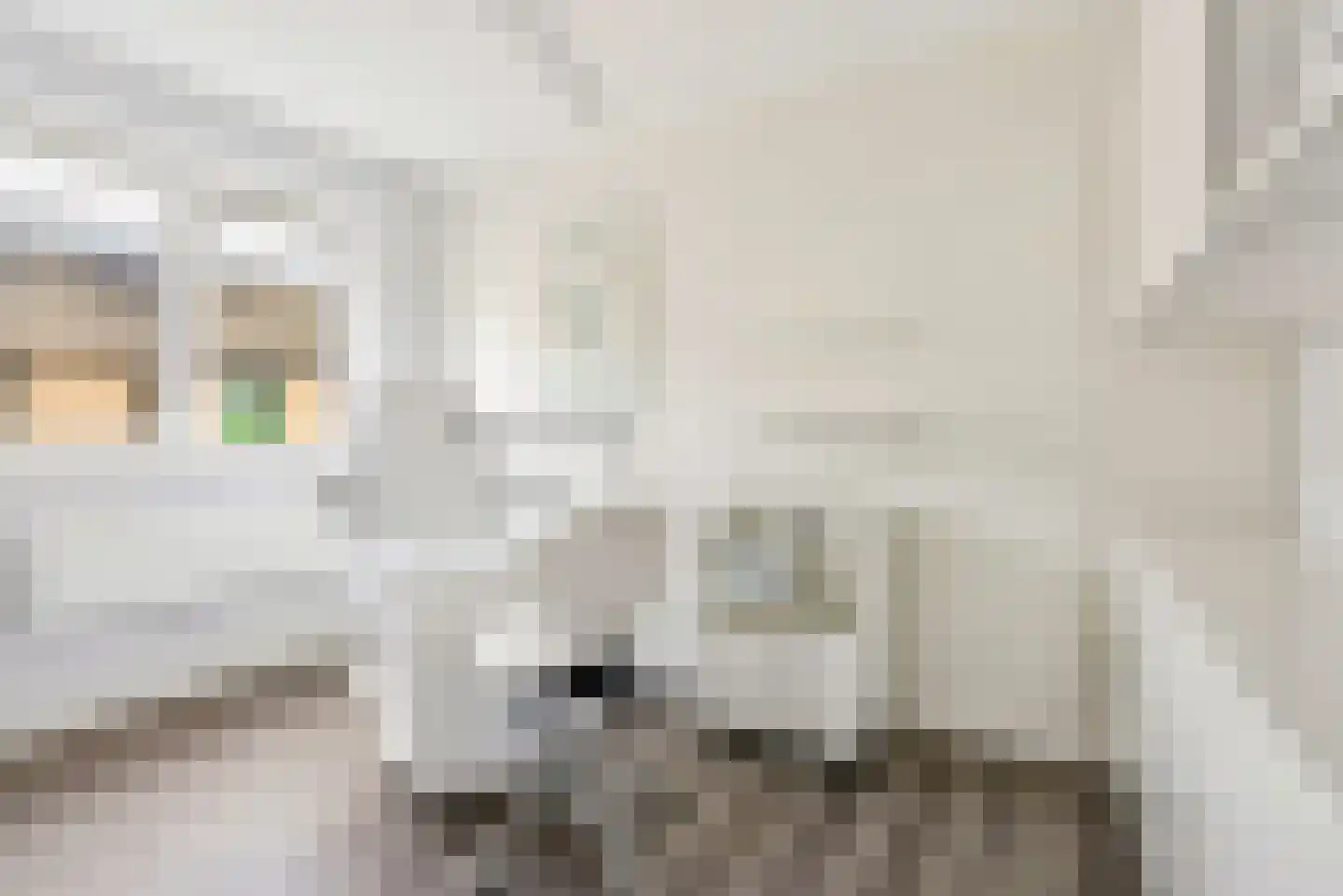 Wisentstraat 9 Almere thumbnail 28