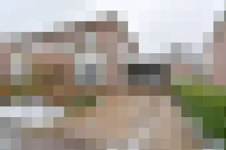 Wisken 14 in Nieuw-Weerdinge