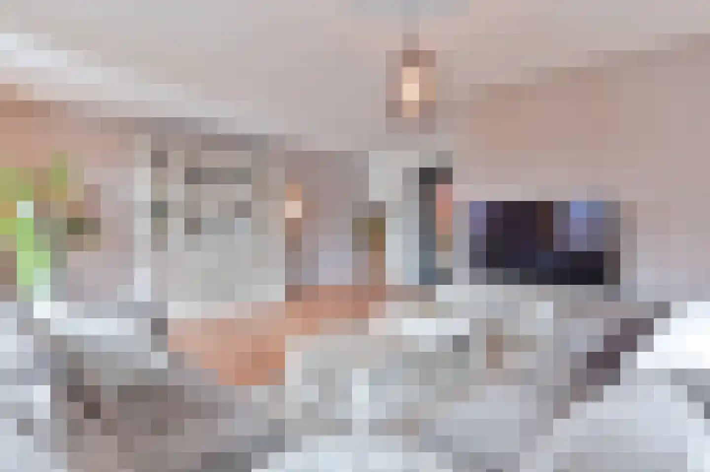 Wisken 14 Nieuw-Weerdinge thumbnail 18