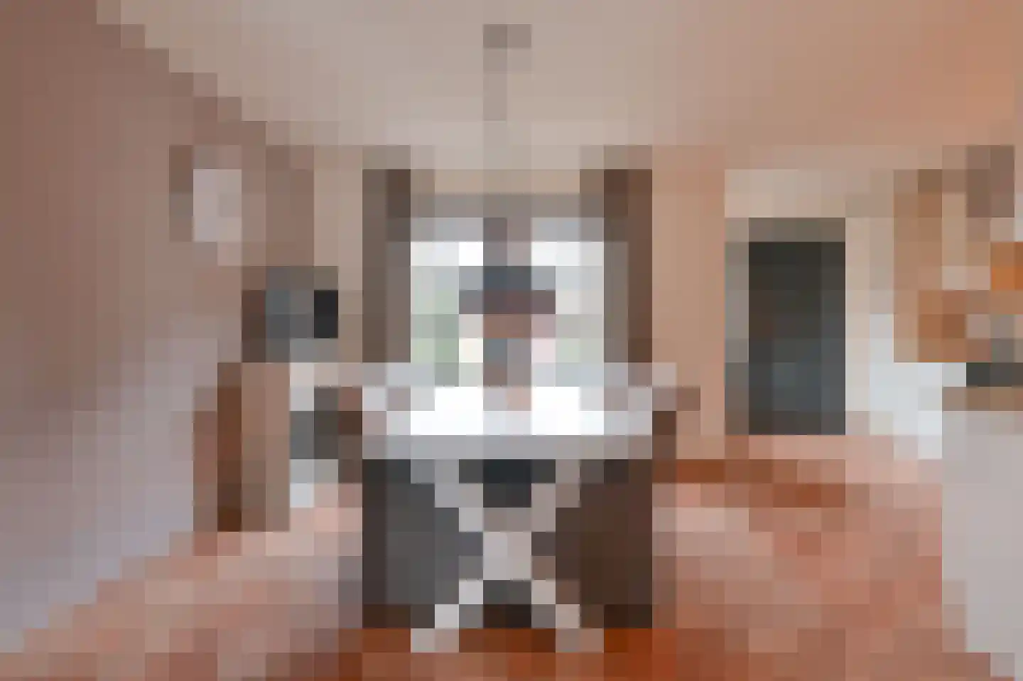 Wisken 14 Nieuw-Weerdinge thumbnail 20
