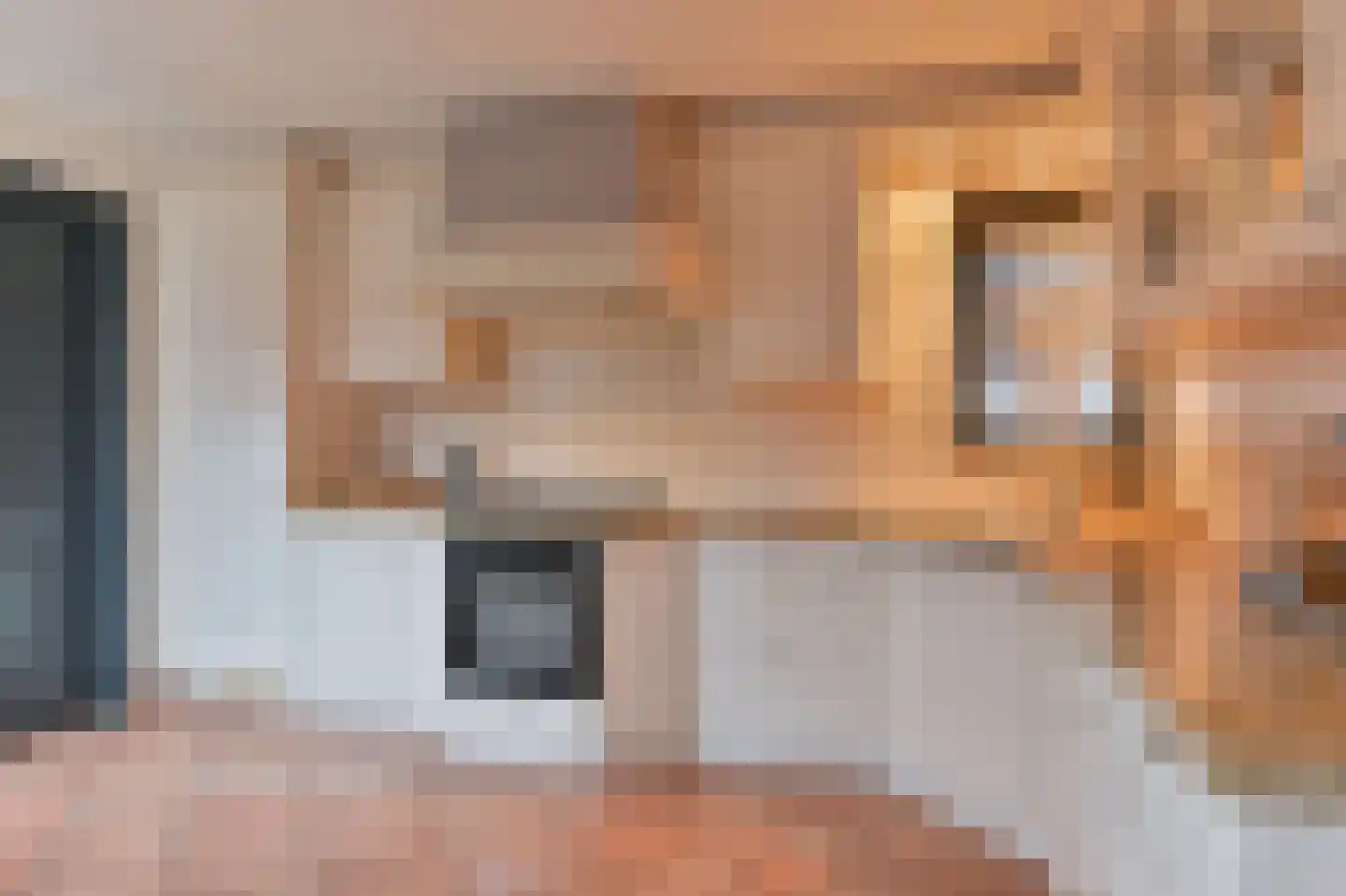 Wisken 14 Nieuw-Weerdinge thumbnail 27