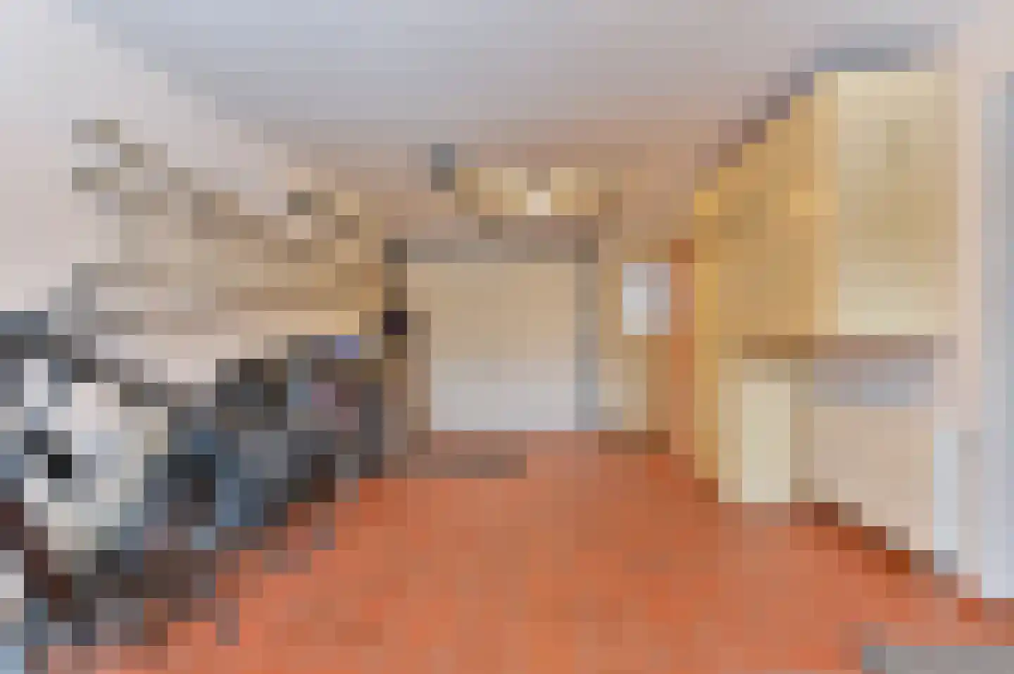 Wisken 14 Nieuw-Weerdinge thumbnail 37