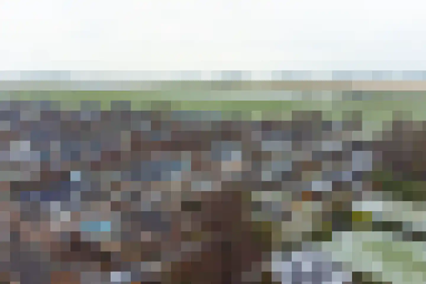 Wisken 14 Nieuw-Weerdinge thumbnail 4