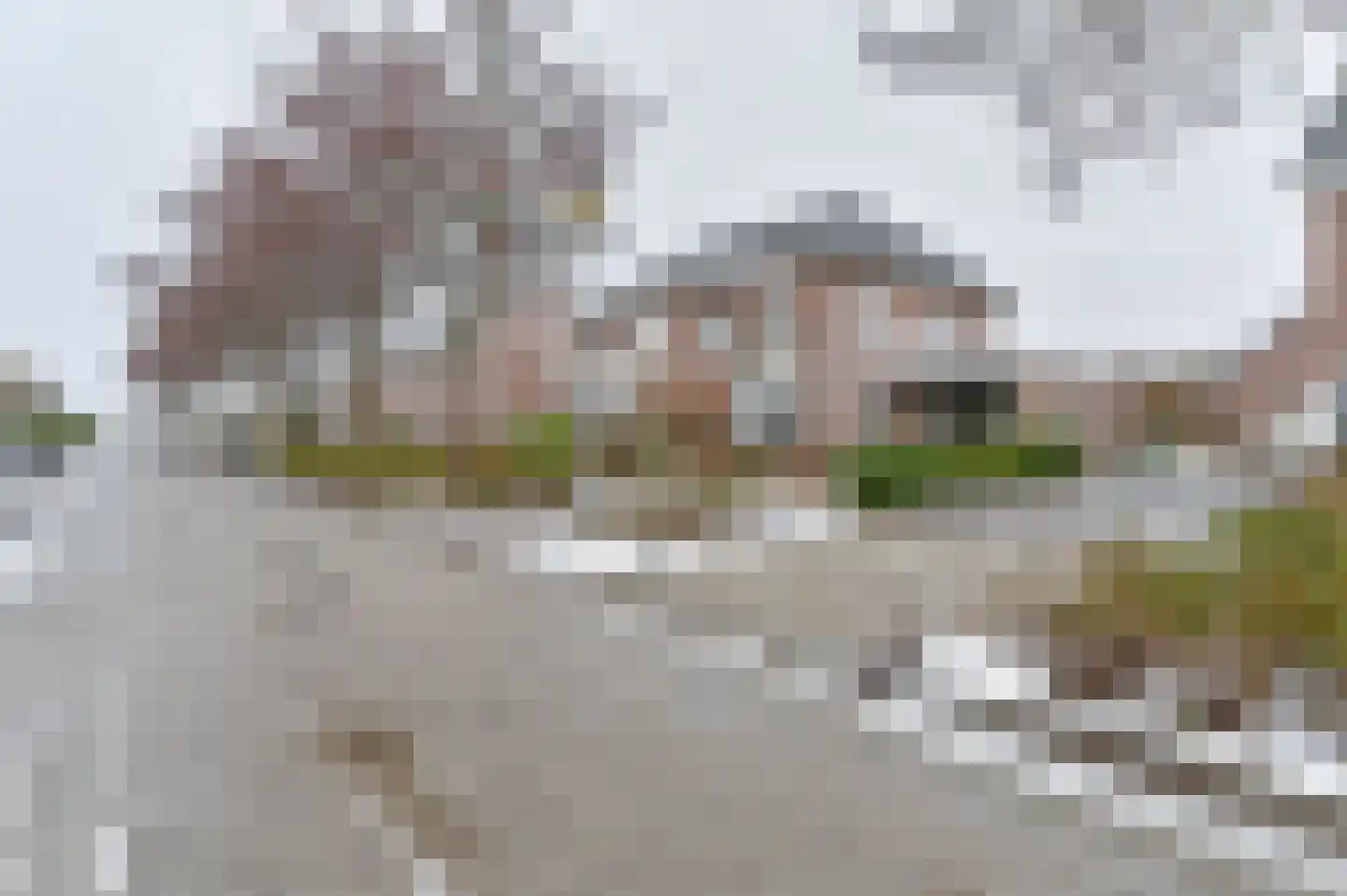 Wisken 14 Nieuw-Weerdinge thumbnail 5