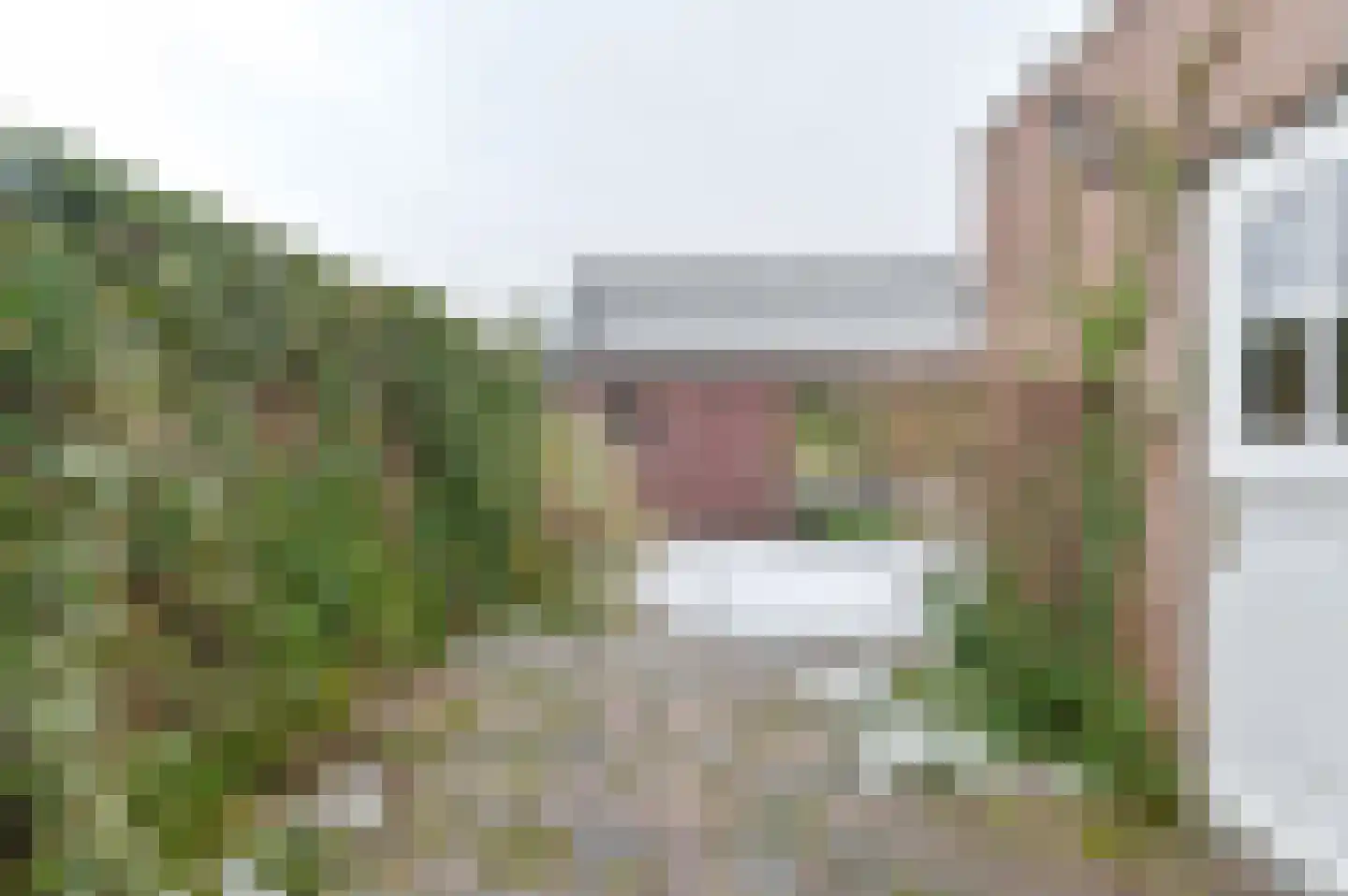 Wisken 14 Nieuw-Weerdinge thumbnail 66