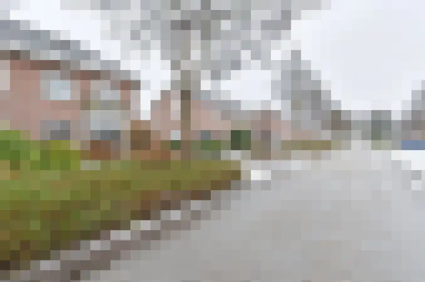 Wisken 14 Nieuw-Weerdinge thumbnail 7