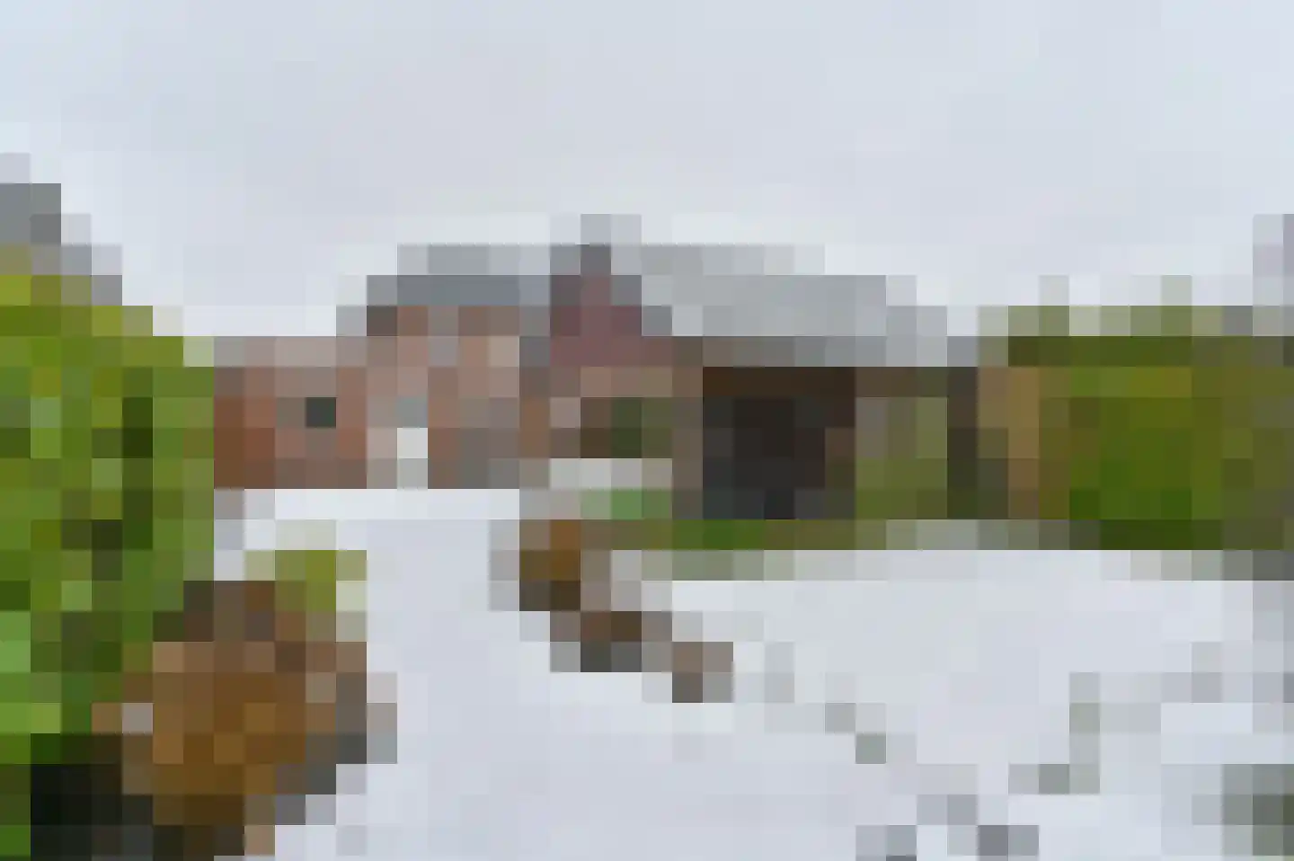 Wisken 14 Nieuw-Weerdinge thumbnail 73