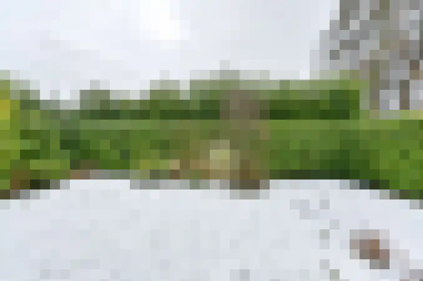 Wisken 14 Nieuw-Weerdinge thumbnail 74