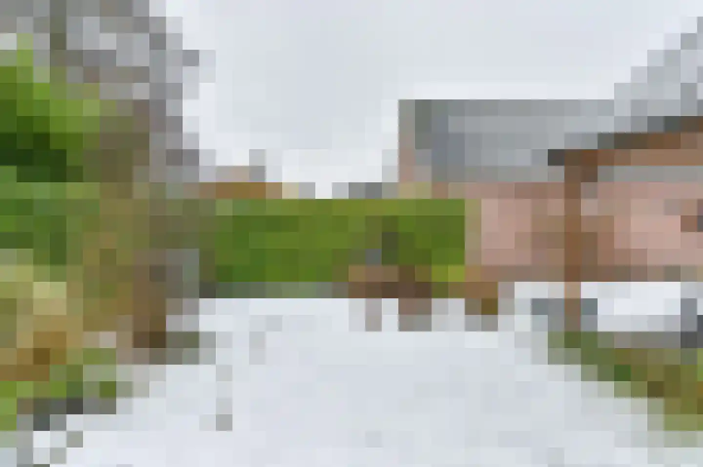 Wisken 14 Nieuw-Weerdinge thumbnail 76