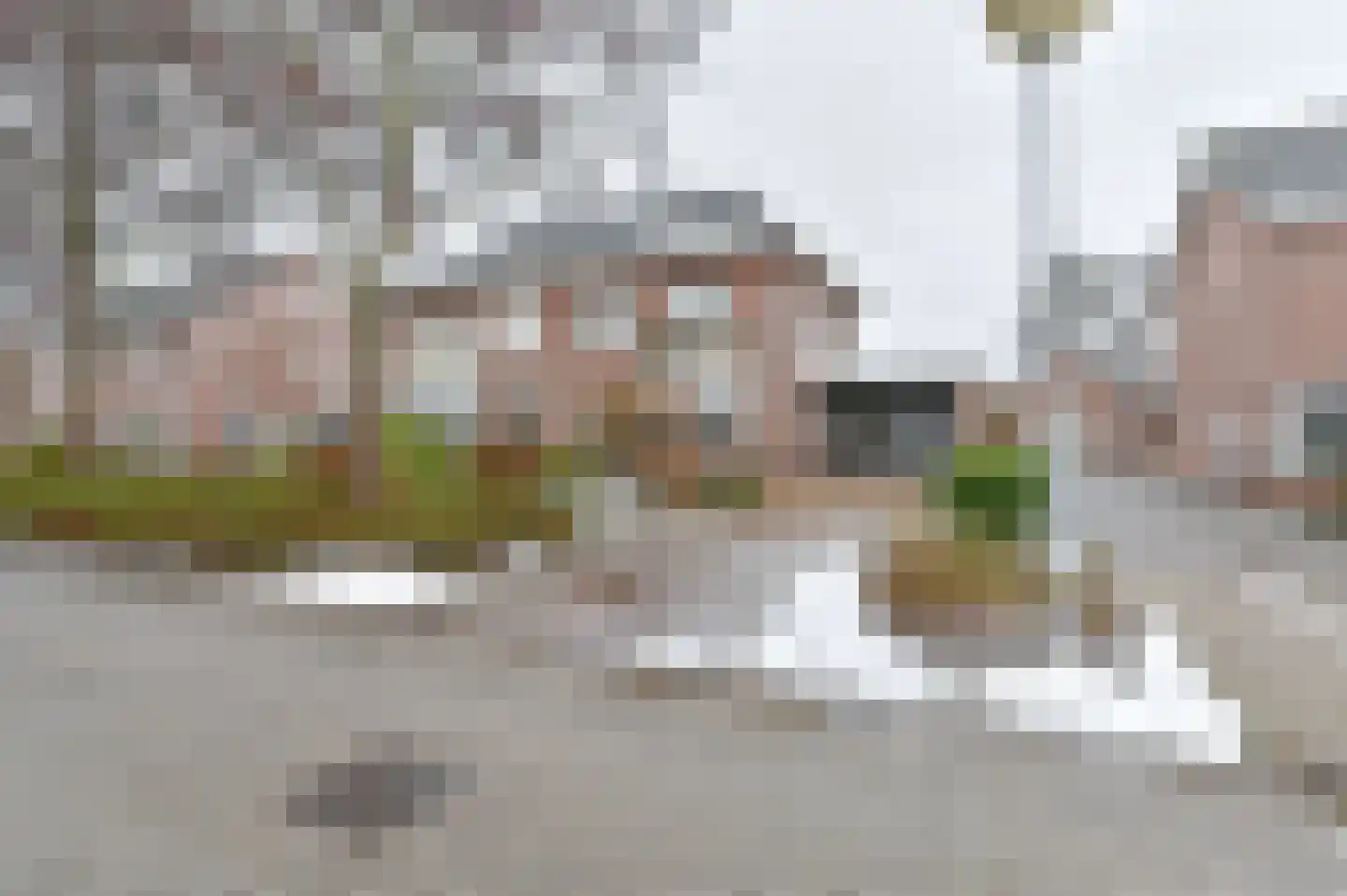 Wisken 14 Nieuw-Weerdinge thumbnail 8