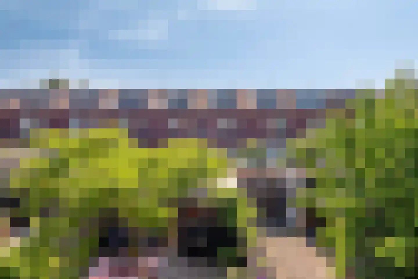 Wiskestraat 30 Almere thumbnail 23