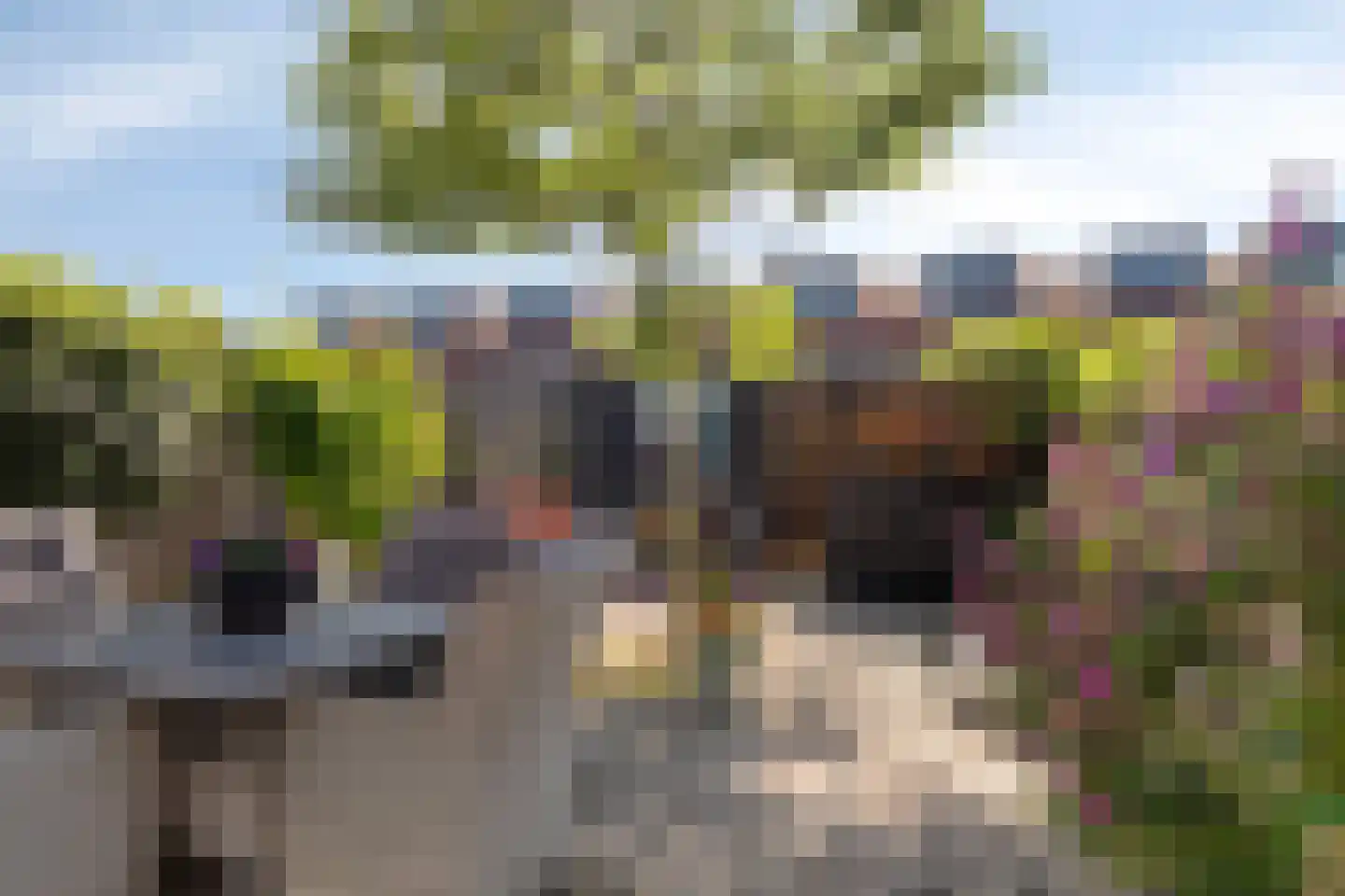 Wiskestraat 30 Almere thumbnail 33