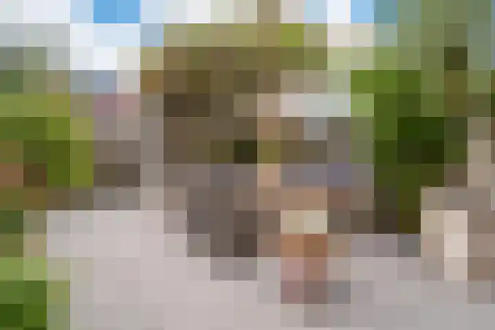 Wiskestraat 8 Almere thumbnail 15