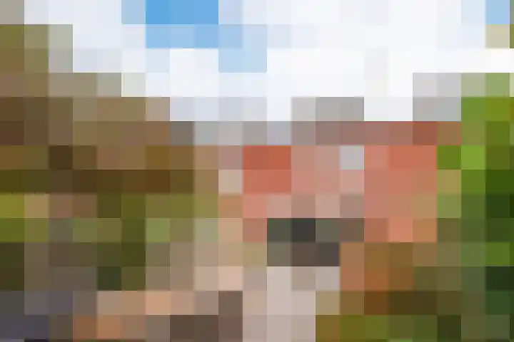 Wiskestraat 8 Almere thumbnail 20