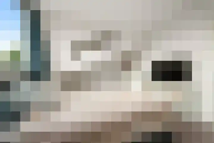Wiskestraat 8 Almere thumbnail 31