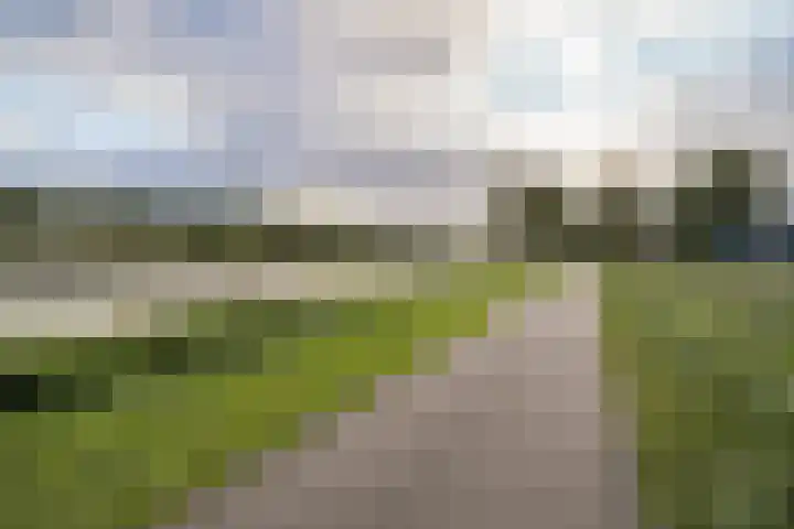 Wiskestraat 8 Almere thumbnail 46