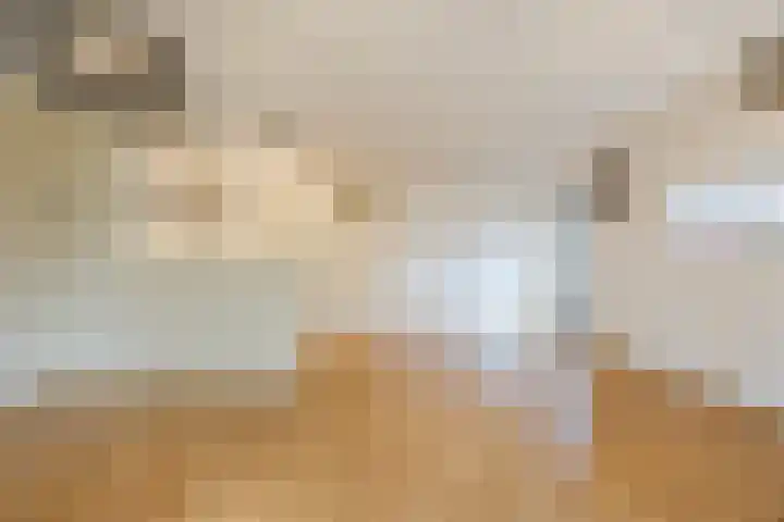 Wislaan 1 A Uden thumbnail 11