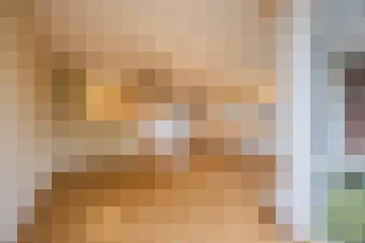 Wislaan 1 A Uden thumbnail 12