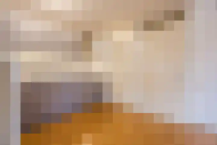 Wislaan 1 A Uden thumbnail 14