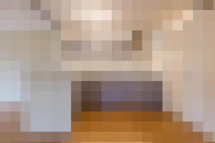 Wislaan 1 A Uden thumbnail 15