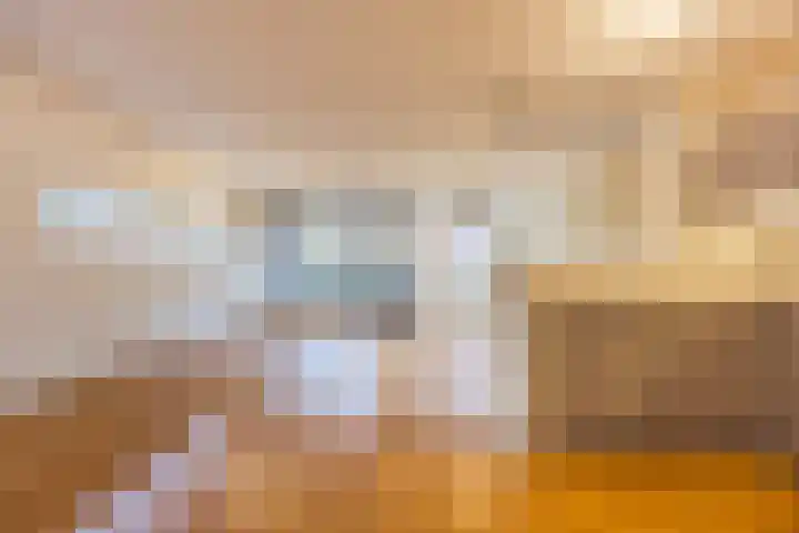 Wislaan 1 A Uden thumbnail 9