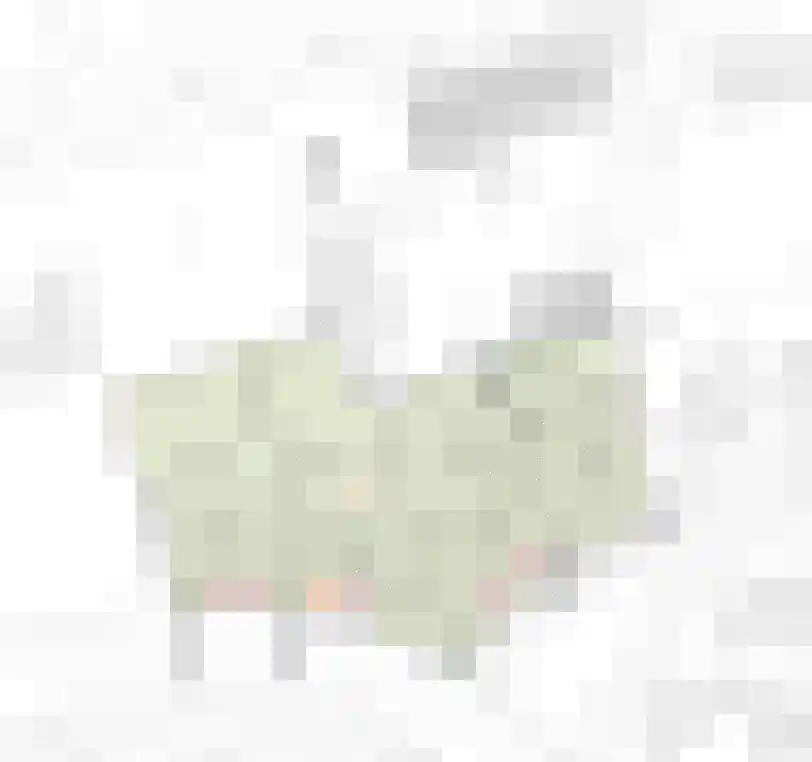 Wislaan 1 Uden thumbnail 12