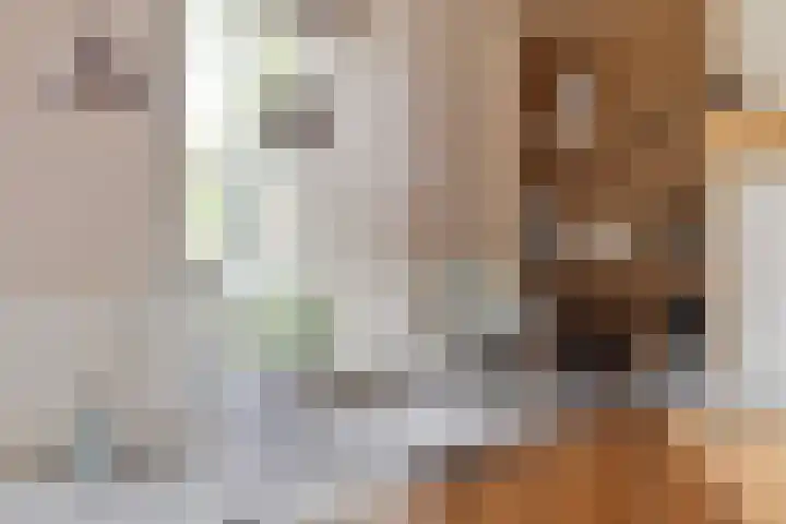 Wislaan 192 Uden thumbnail 12