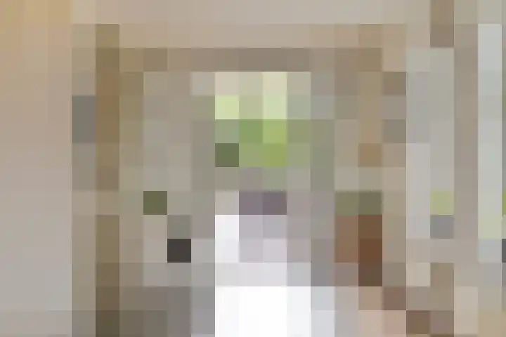 Wislaan 192 Uden thumbnail 16