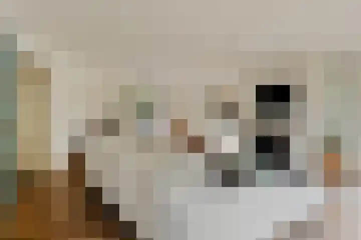Wislaan 192 Uden thumbnail 17
