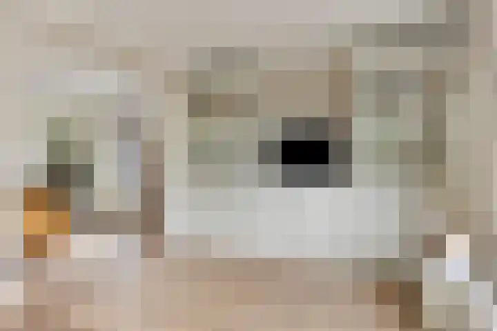 Wislaan 192 Uden thumbnail 25
