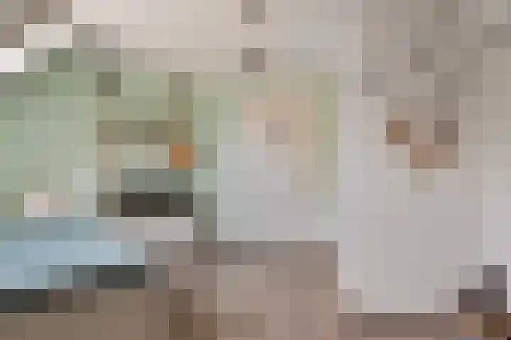 Wislaan 192 Uden thumbnail 29