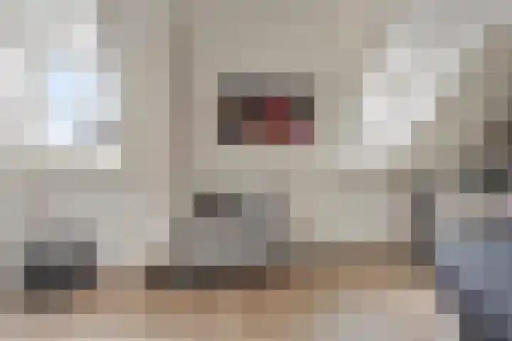 Wislaan 192 Uden thumbnail 30