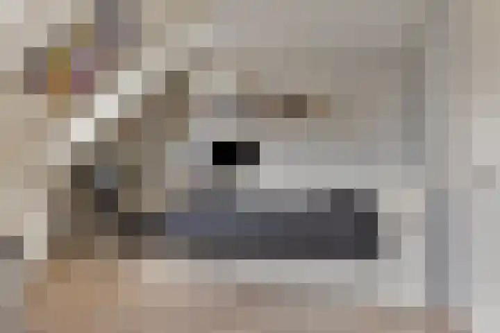 Wislaan 192 Uden thumbnail 31