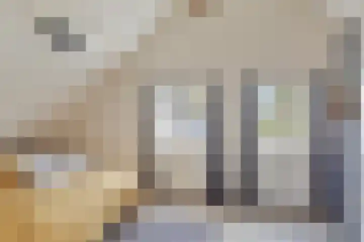 Wislaan 192 Uden thumbnail 33