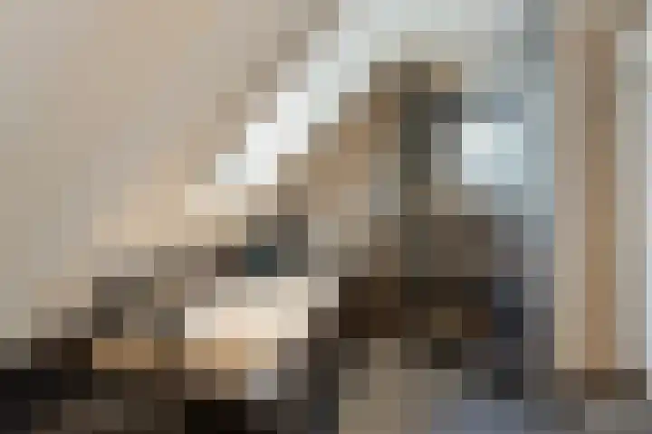 Wislaan 192 Uden thumbnail 37