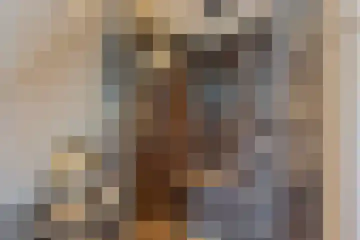 Wislaan 192 Uden thumbnail 38