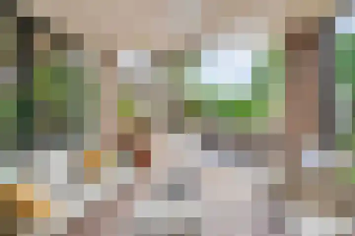 Wislaan 192 Uden thumbnail 41