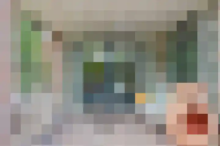 Wislaan 192 Uden thumbnail 42