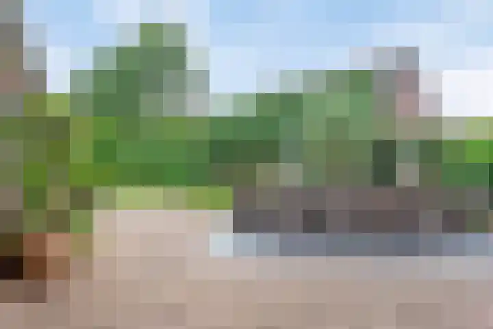 Wislaan 192 Uden thumbnail 43