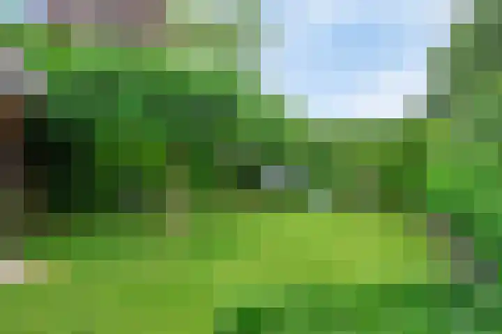 Wislaan 192 Uden thumbnail 49