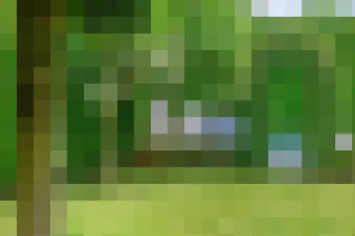 Wislaan 192 Uden thumbnail 50