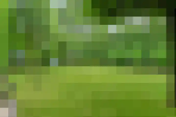 Wislaan 192 Uden thumbnail 51