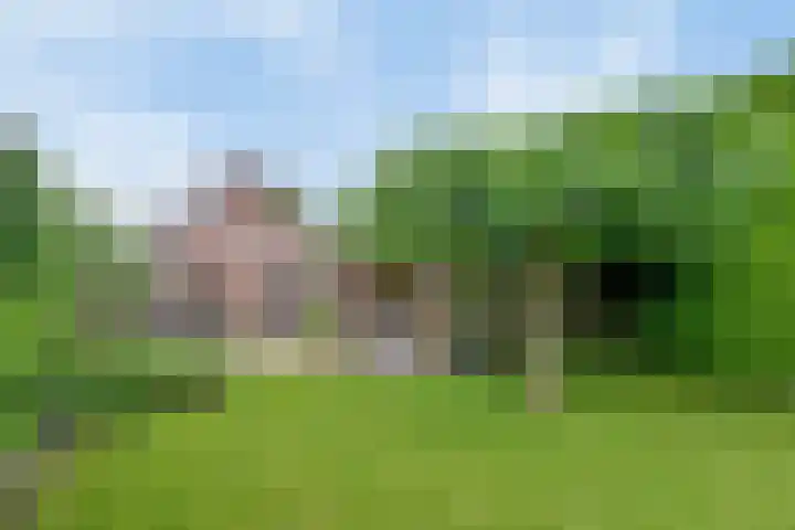 Wislaan 192 Uden thumbnail 55
