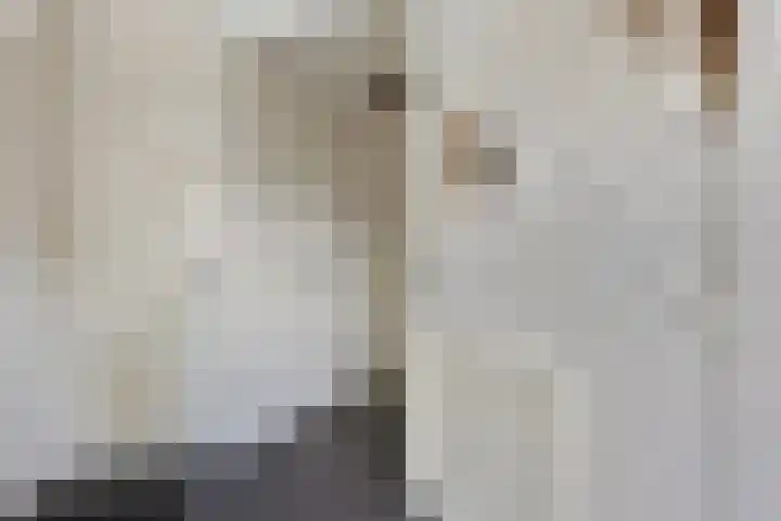 Wislaan 192 Uden thumbnail 8