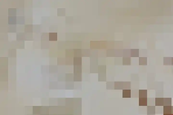 Wislaan 192 Uden thumbnail 9