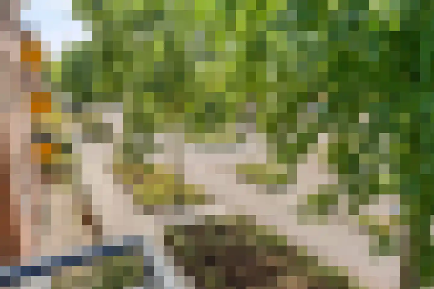 Wislaan 197 Uden thumbnail 10