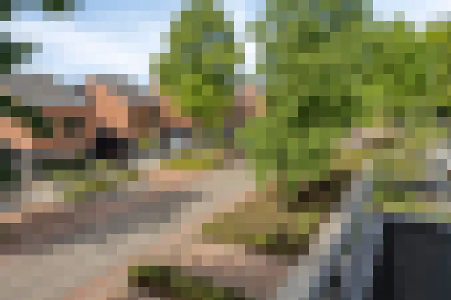 Wislaan 197 Uden thumbnail 11